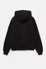 Sudadera capucha STWD Division.webp