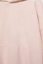 Sudadera capucha bordado STWD 15.webp